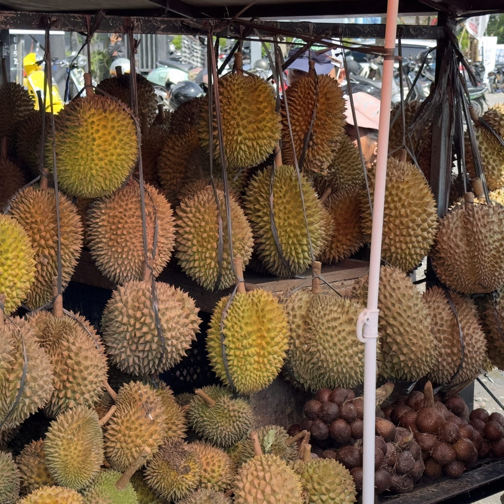 female vendor selling durian fruit in Bali