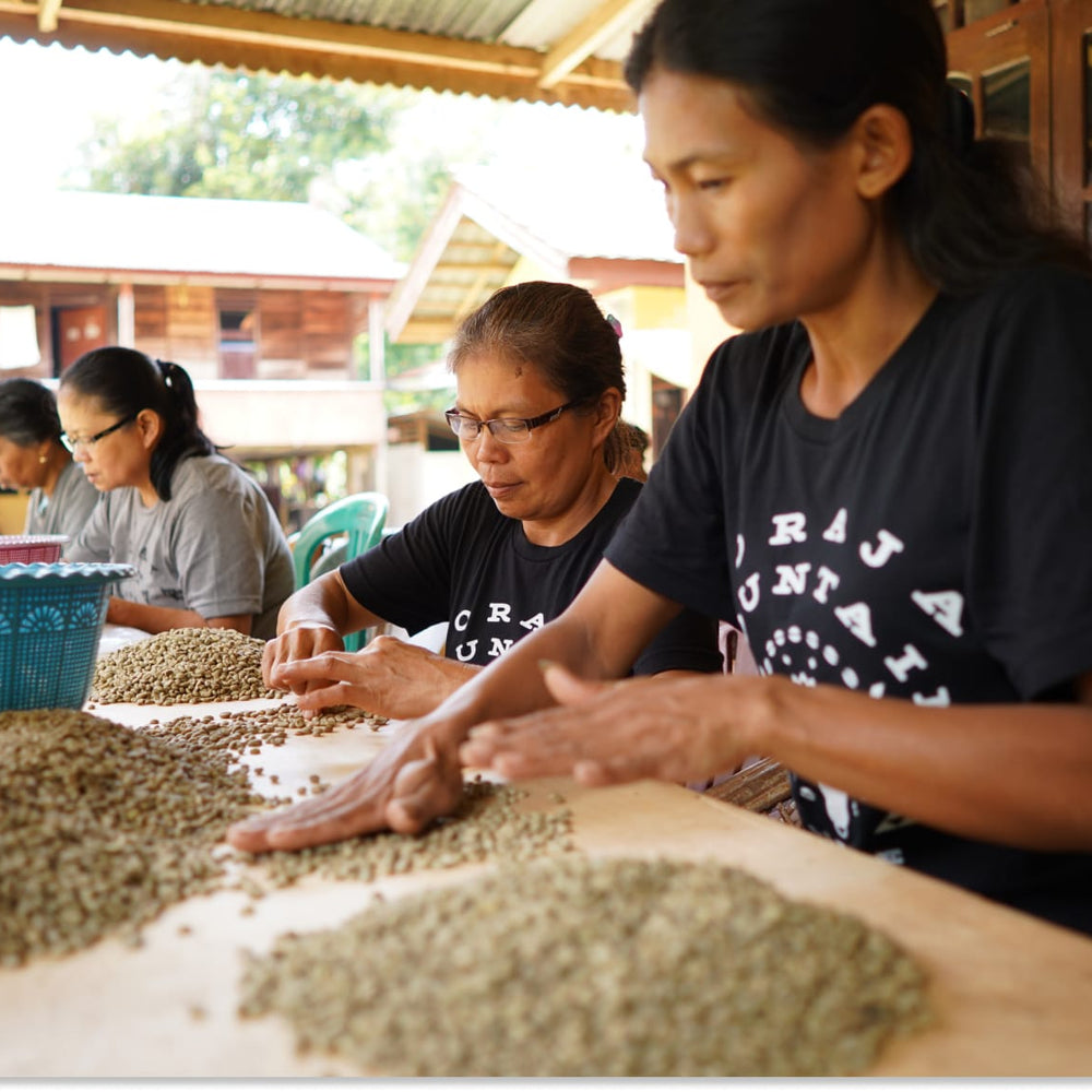 Toraja Mountain Coffee
