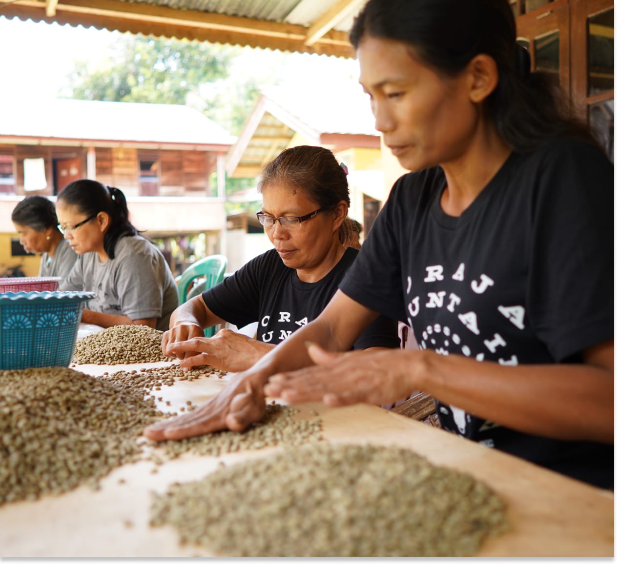 Toraja Mountain Coffee