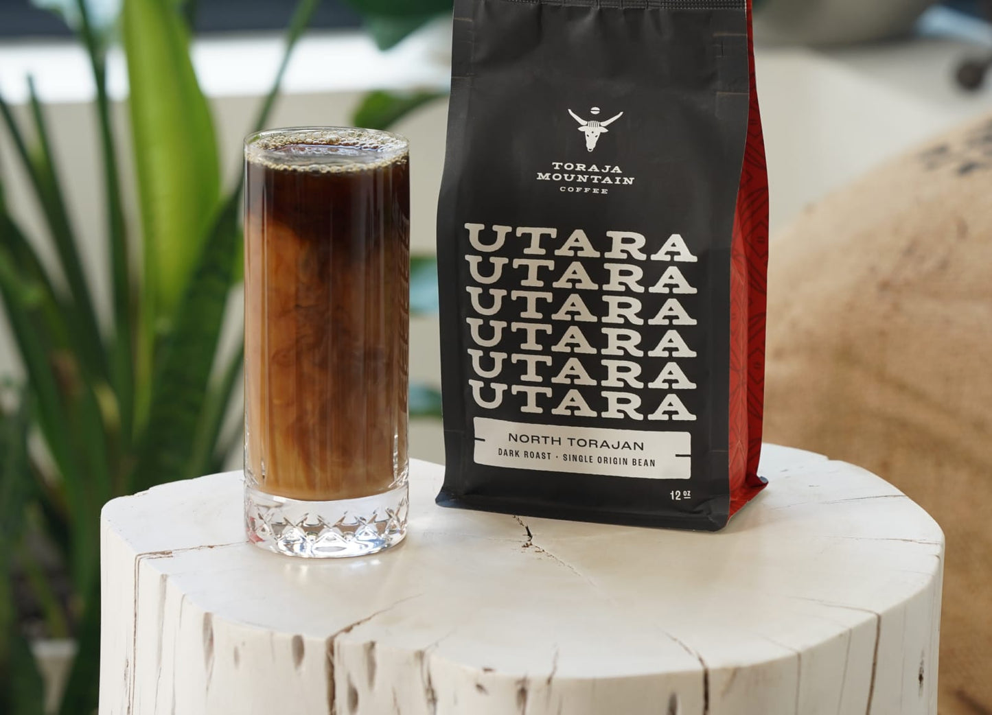 Toraja Mountain Coffee